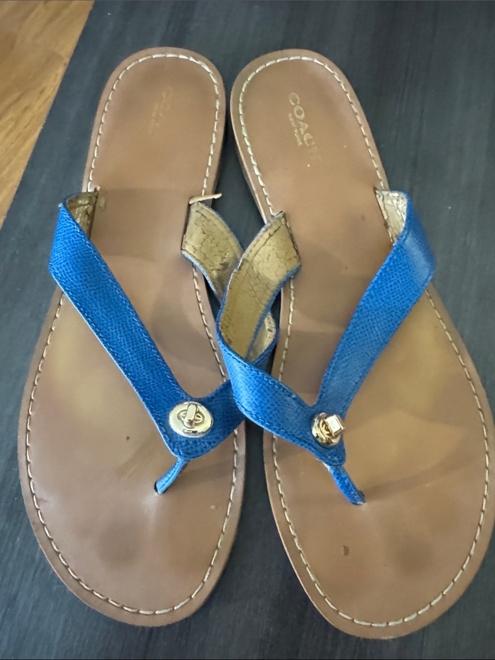 COACH SHELLY Blue Leather Thong Sandals with Gold Logo Accents